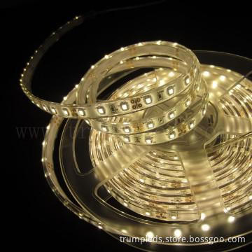 Whole Sale 12v LED Waterproof Light Strip